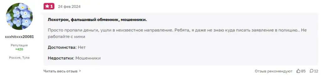 copisto отзывы