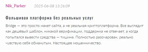 bridgeswap отзывы