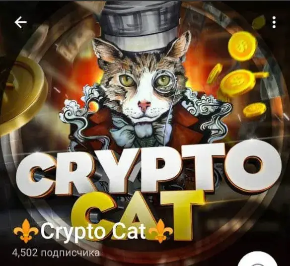 crypto cats отзывы