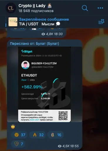 крипто леди телеграмм
