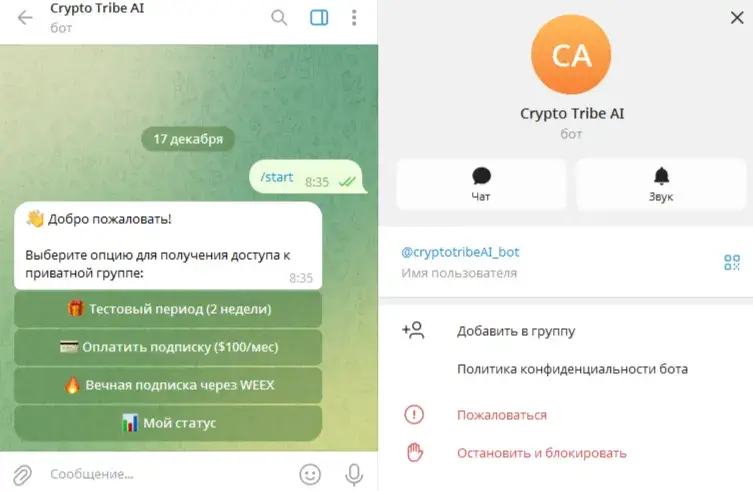 crypto tribe отзывы
