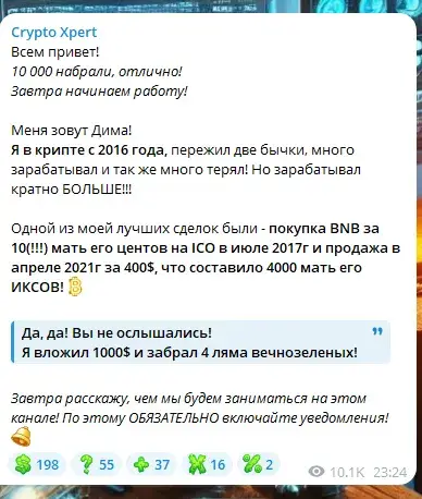 crypto xpert crypto xpert