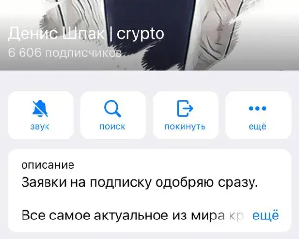 денис шпак отзывы