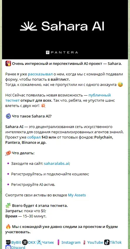 манифест блоггер дима