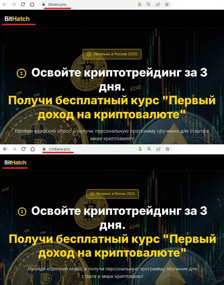 dltzone pro
