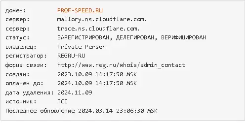 домен prof speed ru