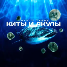 Дмитрий Катушадзе — отзывы и рейтинг