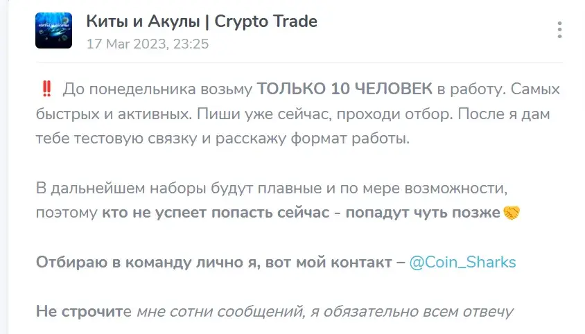 киты и акулы тг канал