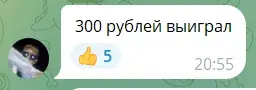 дневник хомяка