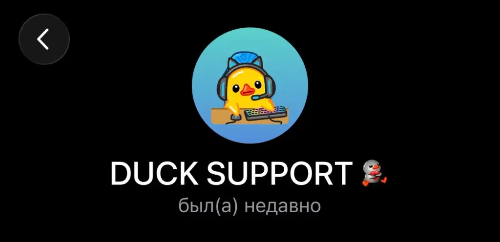 duckvpn robot