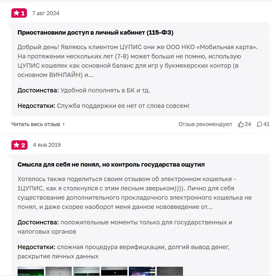единый цупис обман заработок