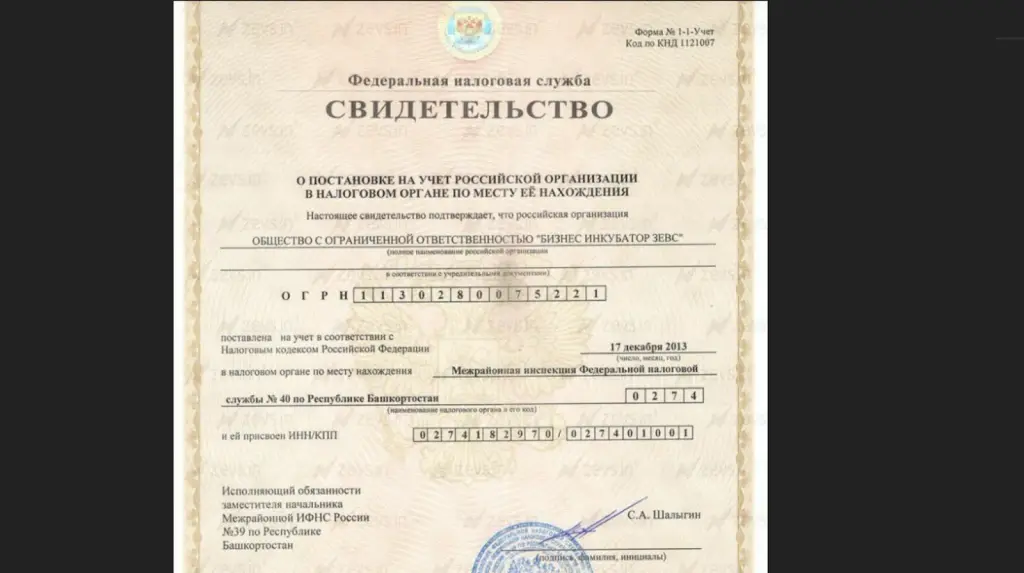 екатерина фетисова инвестиции екатерина фетисова инвестиции