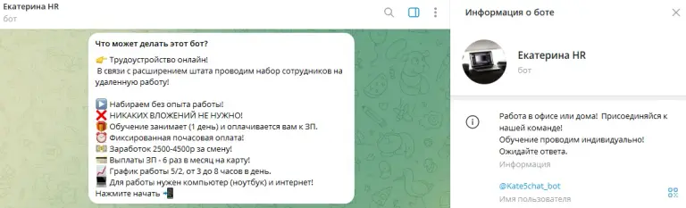 kate5chat bot отзывы