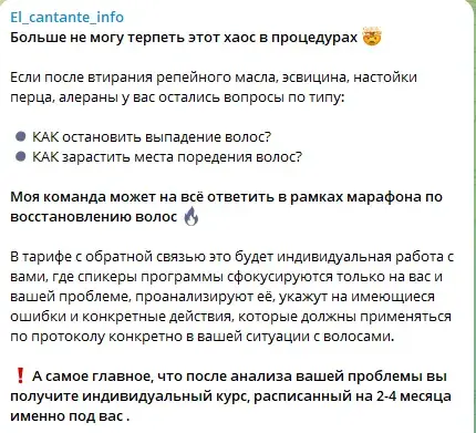 Ель кантанте инфо