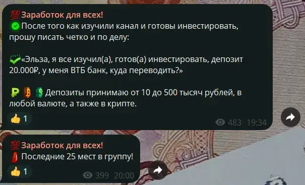 эльза трейдер