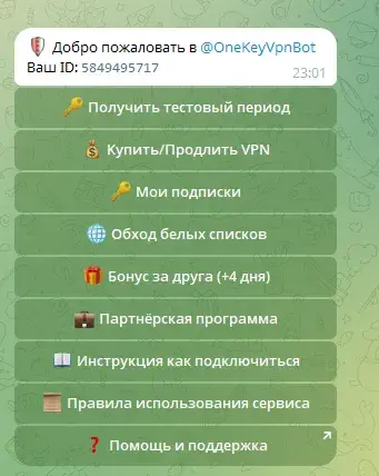 фастловит впн