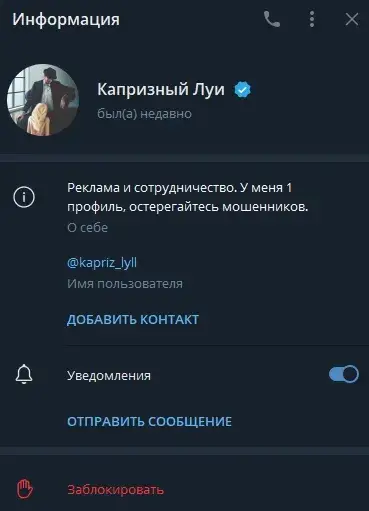 ФаундерЧАТ ФаундерЧАТ