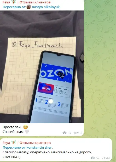 feya robot