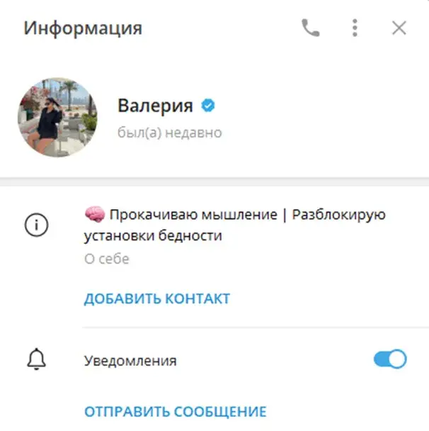 «Цифровой предприниматель Вибрации успеха»