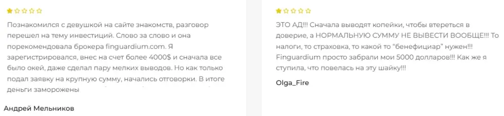 finguardium com