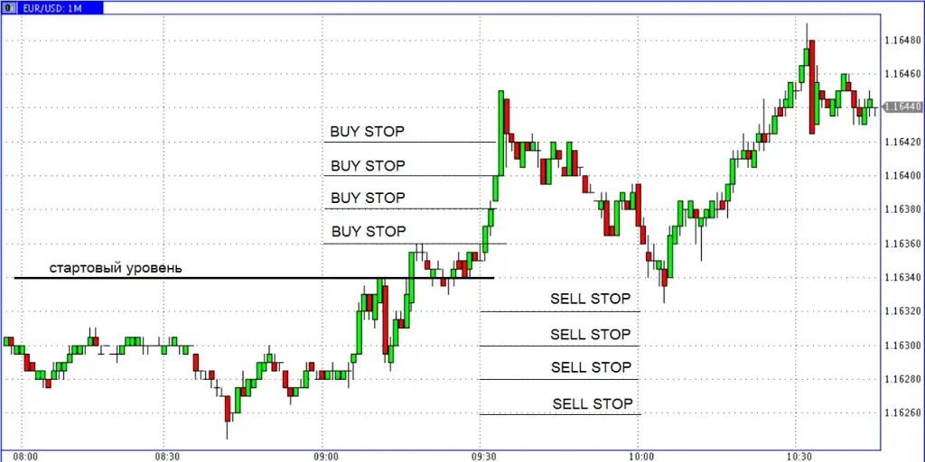 Fx Setka Trader Fx Setka Trader
