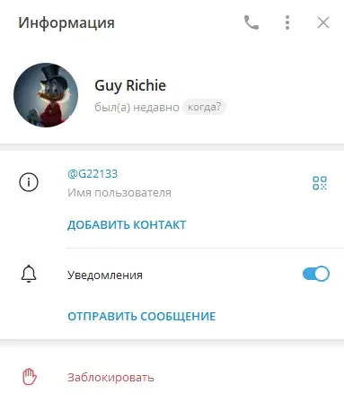 G22133