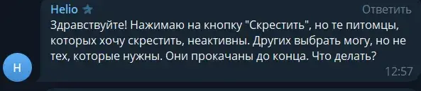 gatto game заработок