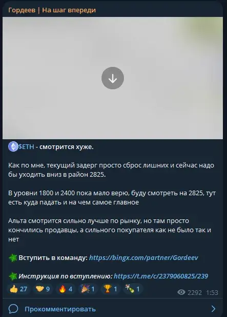 николай гордеев инвестор