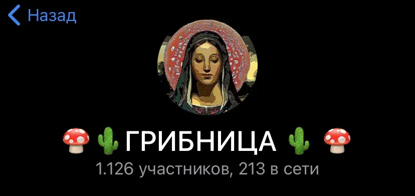 грибная фея телеграм канал