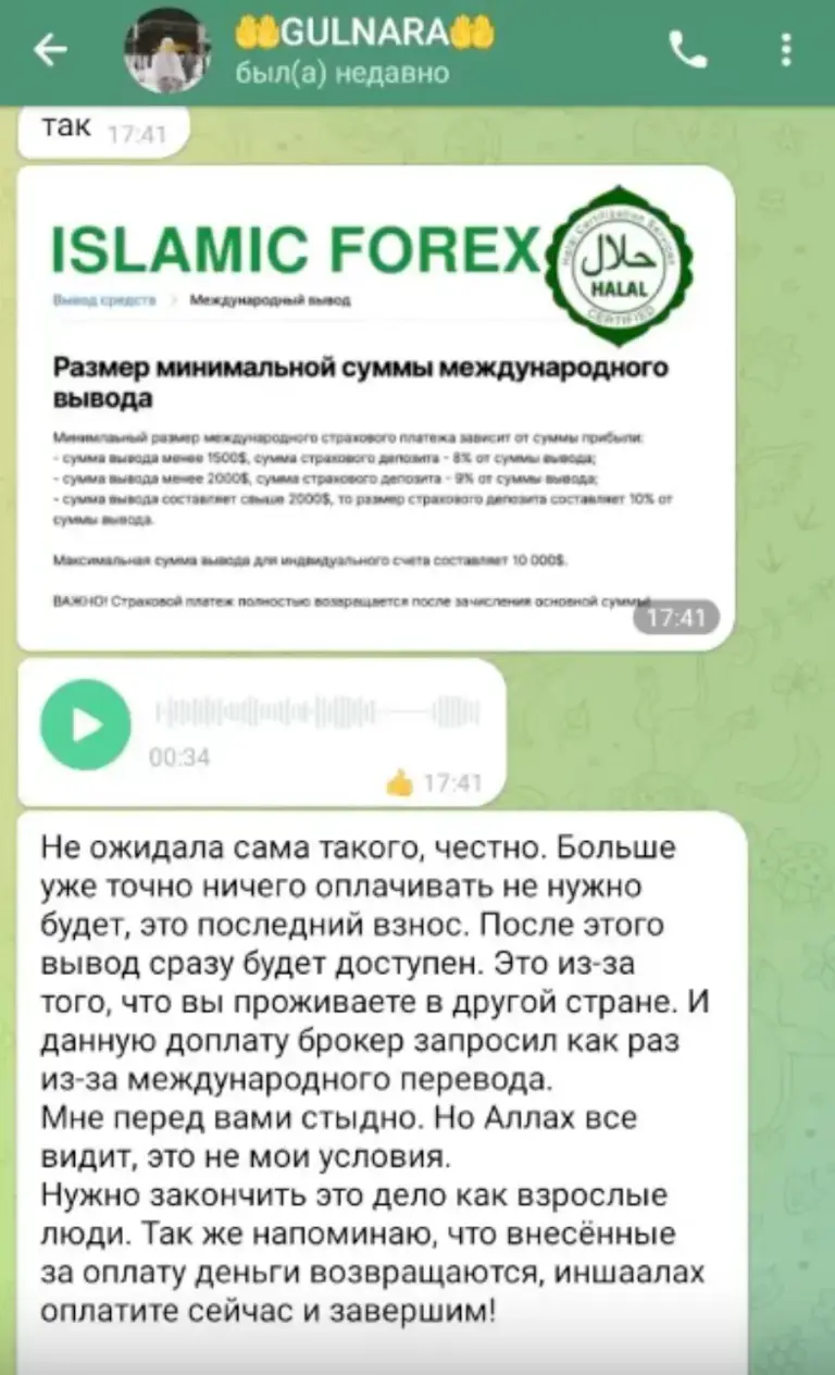 динара халяль заработок отзывы