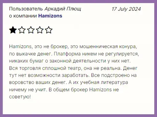 hamizons отзывы