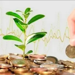 Intraday Trading ( Интрадей с Сашей Питер) — отзывы и рейтинг