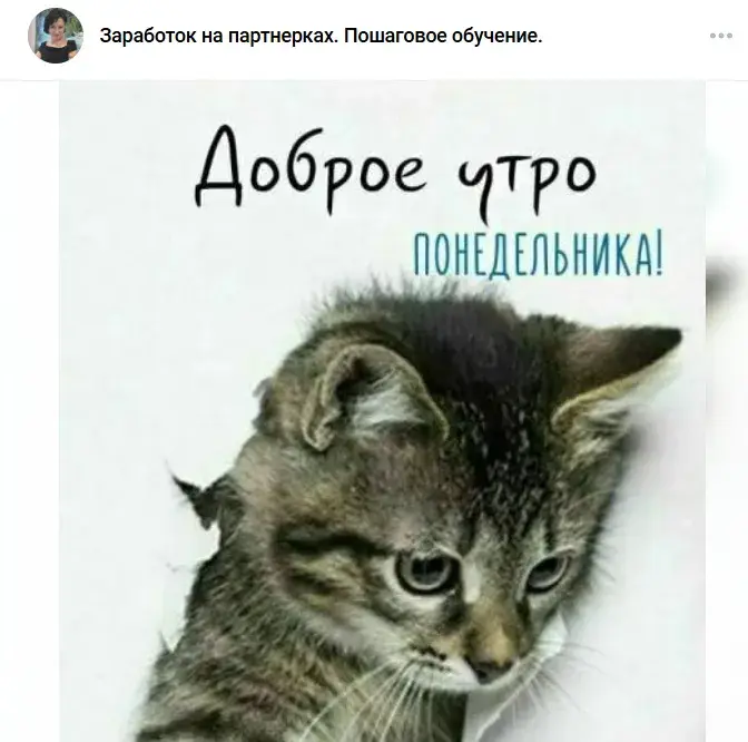 ирина фрейд отзывы