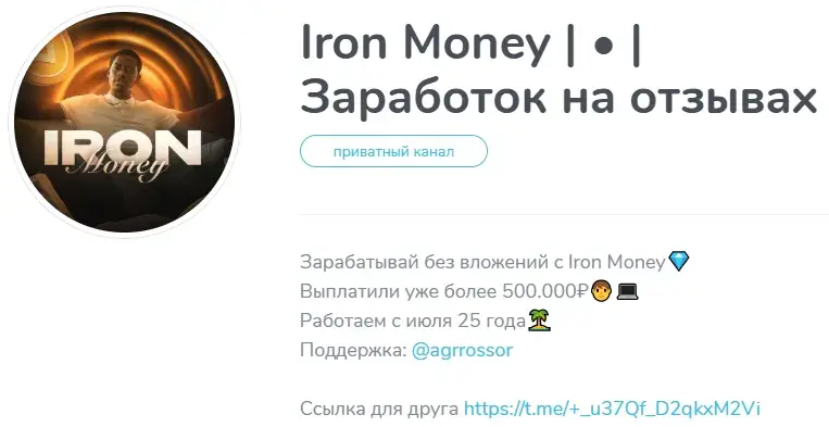 iron money заработок на отзывах