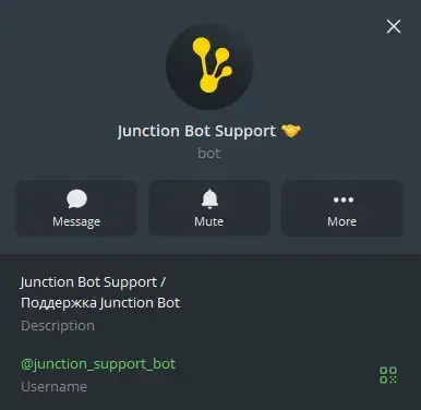 junction bot
