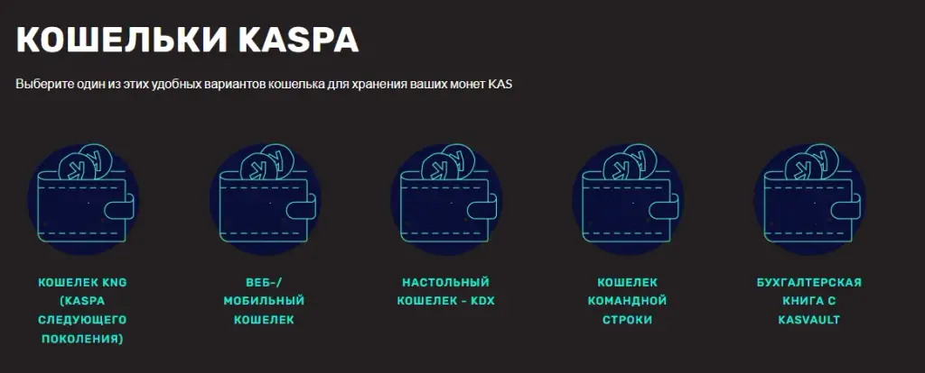 kaspa топ кошельки