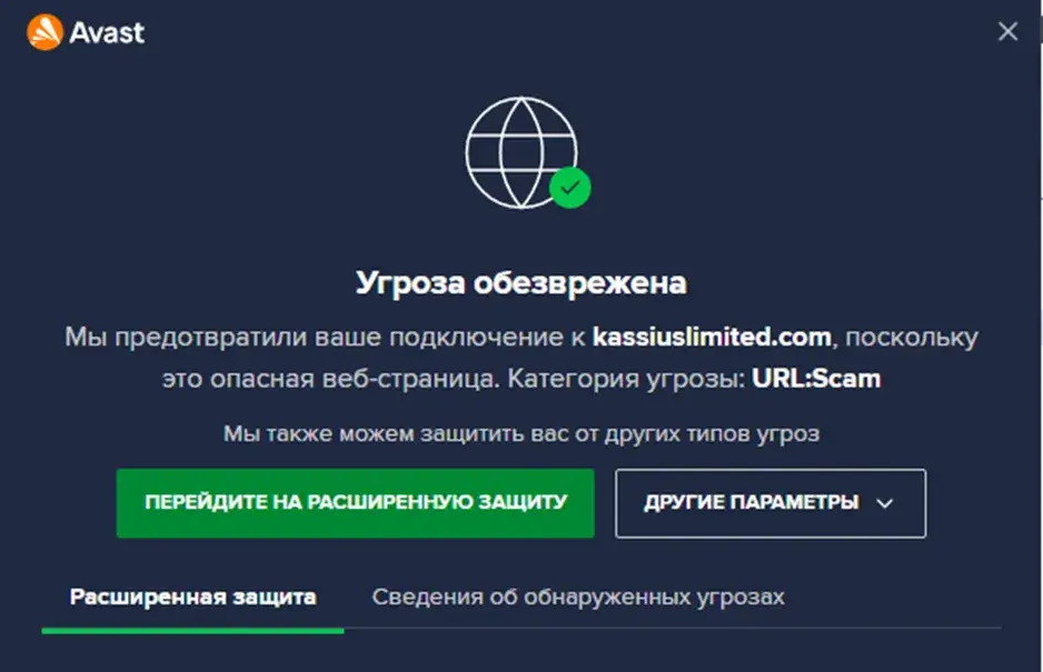 кассиус лимитед