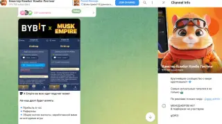 Хамстер Комбат Комбо Листинг — отзывы и рейтинг