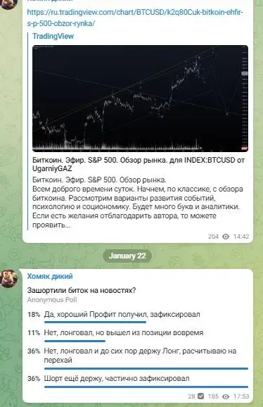 Хомяк дикий отзыв