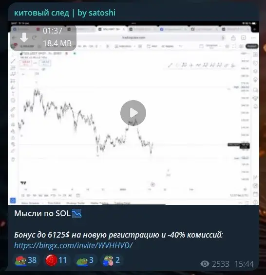 китовый след by satoshi отзывы китовый след by satoshi отзывы