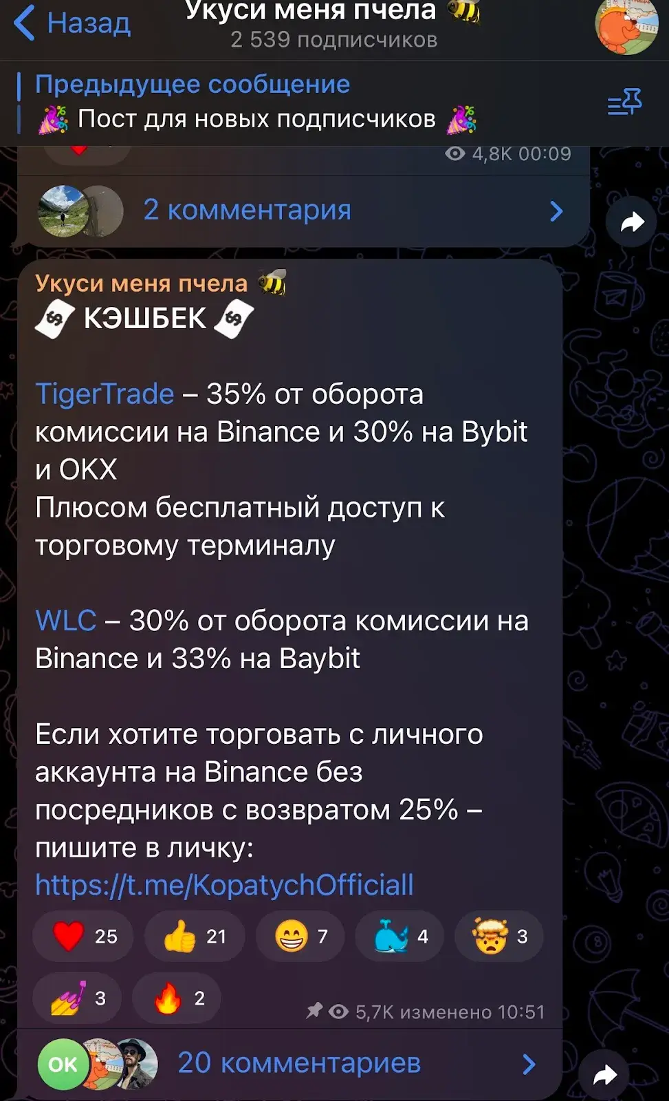 KopatychChannel Укучи меня пчела