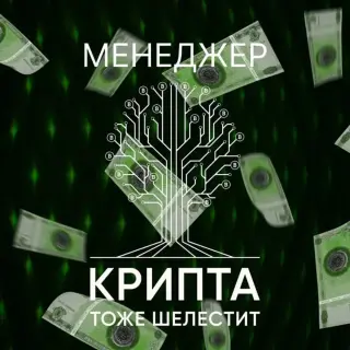 Крипта тоже шелестит — отзывы и рейтинг