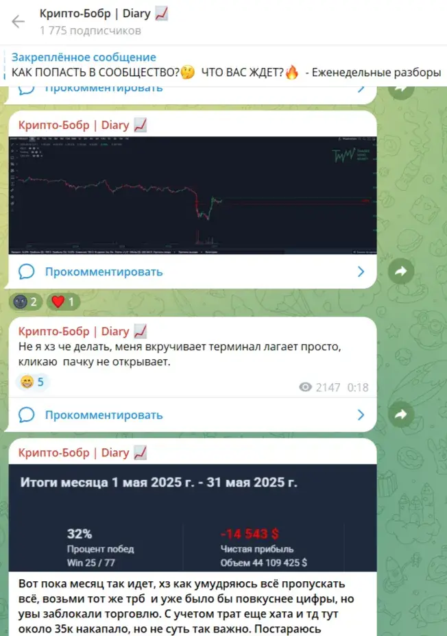 крипто бобр