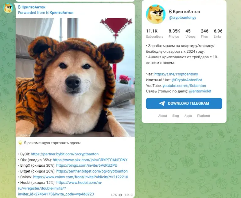 Телеграмм канал Крипто Антон