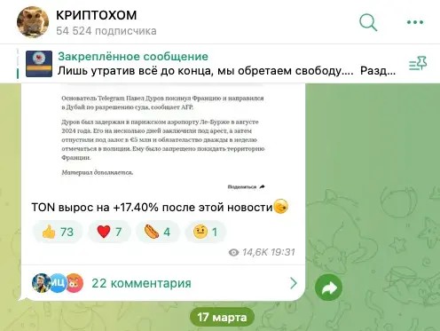 криптохом телеграмм