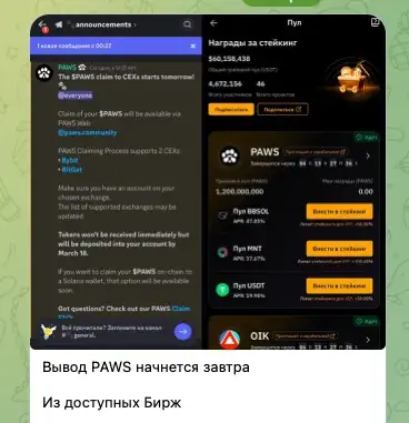 криптохом тг