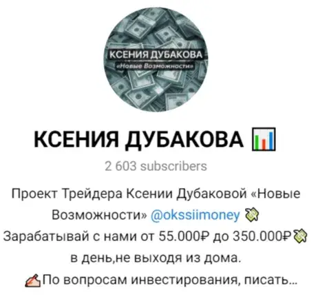 Ксения Дубакова заработок