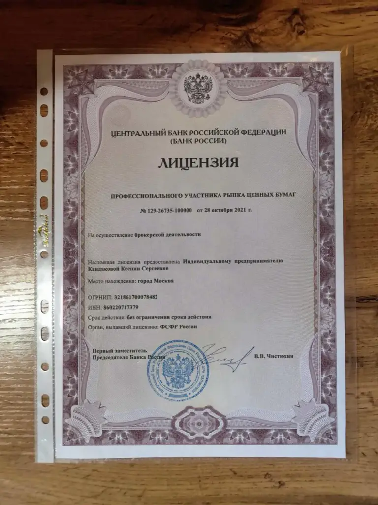 ксения кандакова доход на дому отзывы инвестор