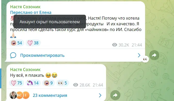 блоггер анастасия созоник