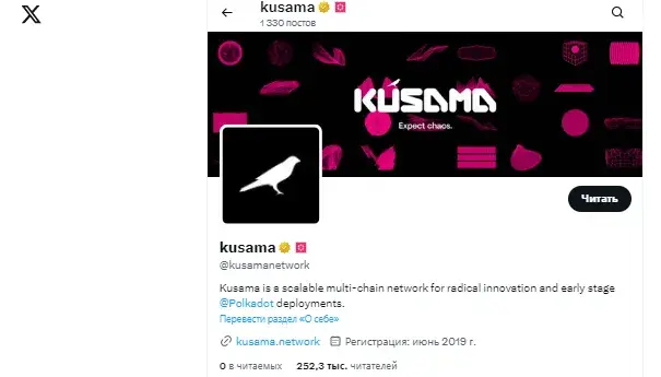 kusama wallet